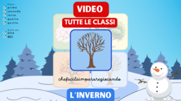 INVERNO: VIDEO EDUCATIVO
