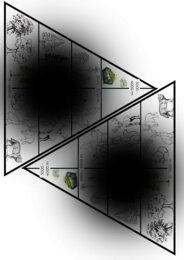 Flora e fauna della montagna - classe seconda Geografia