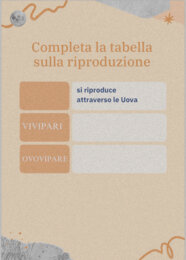 Verifica sugli invertebrati