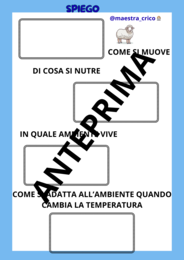 COSTRUISCO IL MIO LIBRETTO DEGLI ANIMALI