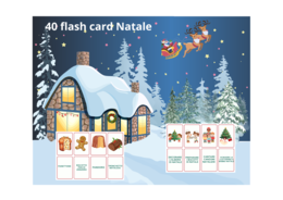 48 Flash cards Natale