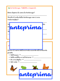 I cicli della vita-4 cicli vitali da leggere, osservare e ricostruire-classi 1-3