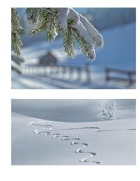 Unità Didattica d'apprendimento: " Tra la neve"