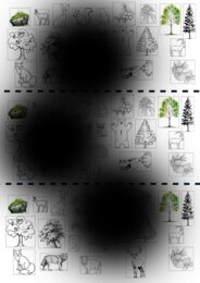 Flora e fauna della montagna - classe seconda Geografia