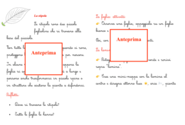 Percorso per piccoli botanici; nomenclatura della foglia + libretto per l'ampliamento