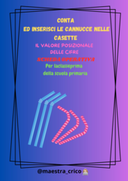 CONTA ED INSERISCI LE CANNUCCE NELLE CASETTE
