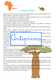 Cinque leggende per la pace; un viaggio tra i continenti