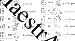 The Alphabet
