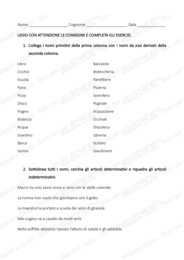 Schede didattiche e di verifica sugli aggettivi e i nomi