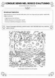 AUTUNNO-ATTIVITA' INTERDISCIPLINARE
