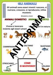 PERCORSO SUGLI ANIMALI