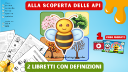 LE API - PAROLE DEFINIZIONI IMMAGINI - ALLA SCOPERTA DELLE API