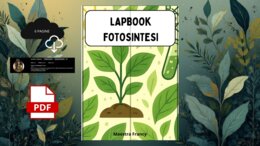 LA FOTOSINTESI - LAPBOOK
