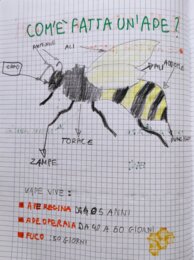 QUADERNO DI SCIENZE classe 3^ - per tutto l'anno scolastico -