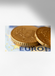 EURO ESERCIZI E SPIEGAZIONE