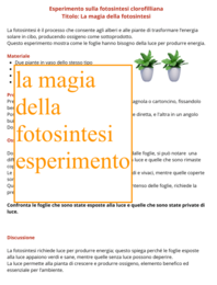 Alberi e ambiente: 4 esperimenti per incuriosire e comprendere-Giornata degli alberi-per tutte le classi