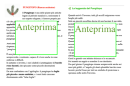 Natale tra piante e fiori-le piante simbolo del Natale- un percorso tra botanica, leggende e attività multidisciplinari