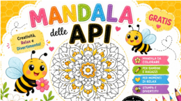 MANDALA API
