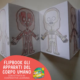 FLIPBOOK: GLI APPARATI DEL CORPO UMANO
