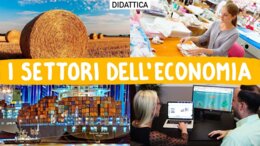 I settori economici : PRIMARIO, SECONDARIO,TERZIARIO,.