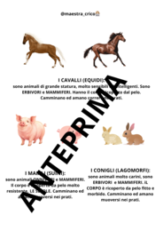 CONOSCIAMO GLI ANIMALI DELLA FATTORIA