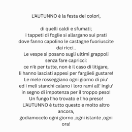 L'AUTUNNO è la festa dei colori