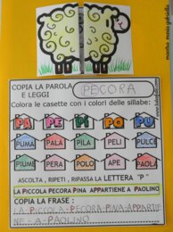 Lettera P creativa con Pecora e Pagliaccio