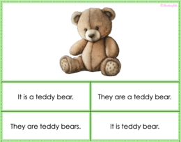 It is VS They are - multiple choice cards