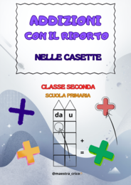 ADDIZIONI CON IL RIPORTO
