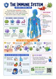 CLIL Science The Human Body classe 5^