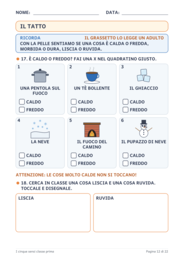 I cinque sensi classe prima: schede, esperimenti e verifica
