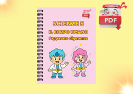 LA FABBRICA DEI PDF - Quaderno di Scienze 5 - L'apparato digerente