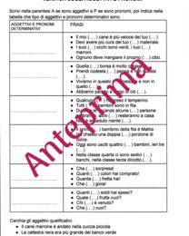 Verifica sugli aggettivi e pronomi