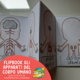 FLIPBOOK: GLI APPARATI DEL CORPO UMANO