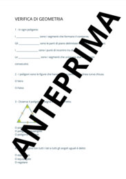 Verifica di geometria/ Poligoni e triangoli