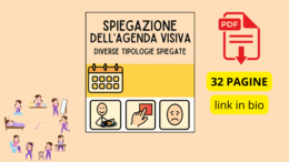 SPIEGAZIONE AGENDA VISIVA