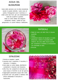 KIT ACCOGLIENZA INFANZIA "IL GIARDINO SEGRETO" percorso sensoriale per le prime tre settimane