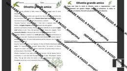 Giornata degli alberi_L'ulivo