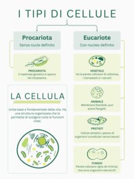 Kit Didattico La Cellula (Animale e Vegetale) - Schede e Mappe - Quinta Primaria