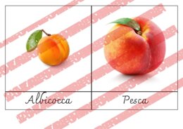 Nomenclature frutti e piante da frutto