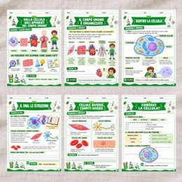 Dalla cellula agli apparati scuola primaria