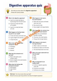 CLIL Science The Human Body classe 5^