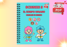 LA FABBRICA DEI PDF: SCIENZE 5 -Organi di senso