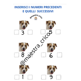 NUMERI PRECEDENTI E NUMERI SUCCESSIVI
