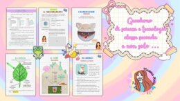 Kit completo scienze e tecnologia in classe seconda primaria quaderno + schede
