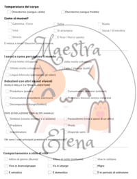 Scheda osservazione animale