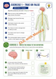 CLIL Science The Human Body classe 5^