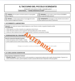 20 ESPERIMENTI SCIENTIFICI FACILI per la Scuola Primaria | Il Taccuino del Piccolo Scienziato (Classi 3ª e 4ª) [PDF Pratico B/N]