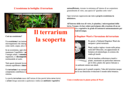 Giornata mondiale del suolo: un ecosistema in bottiglia; dalla storia all'esperimento; classi III-IV-V