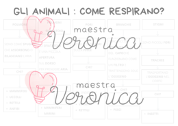 LA RESPIRAZIONE DEGLI ANIMALI - TERZA PRIMARIA
